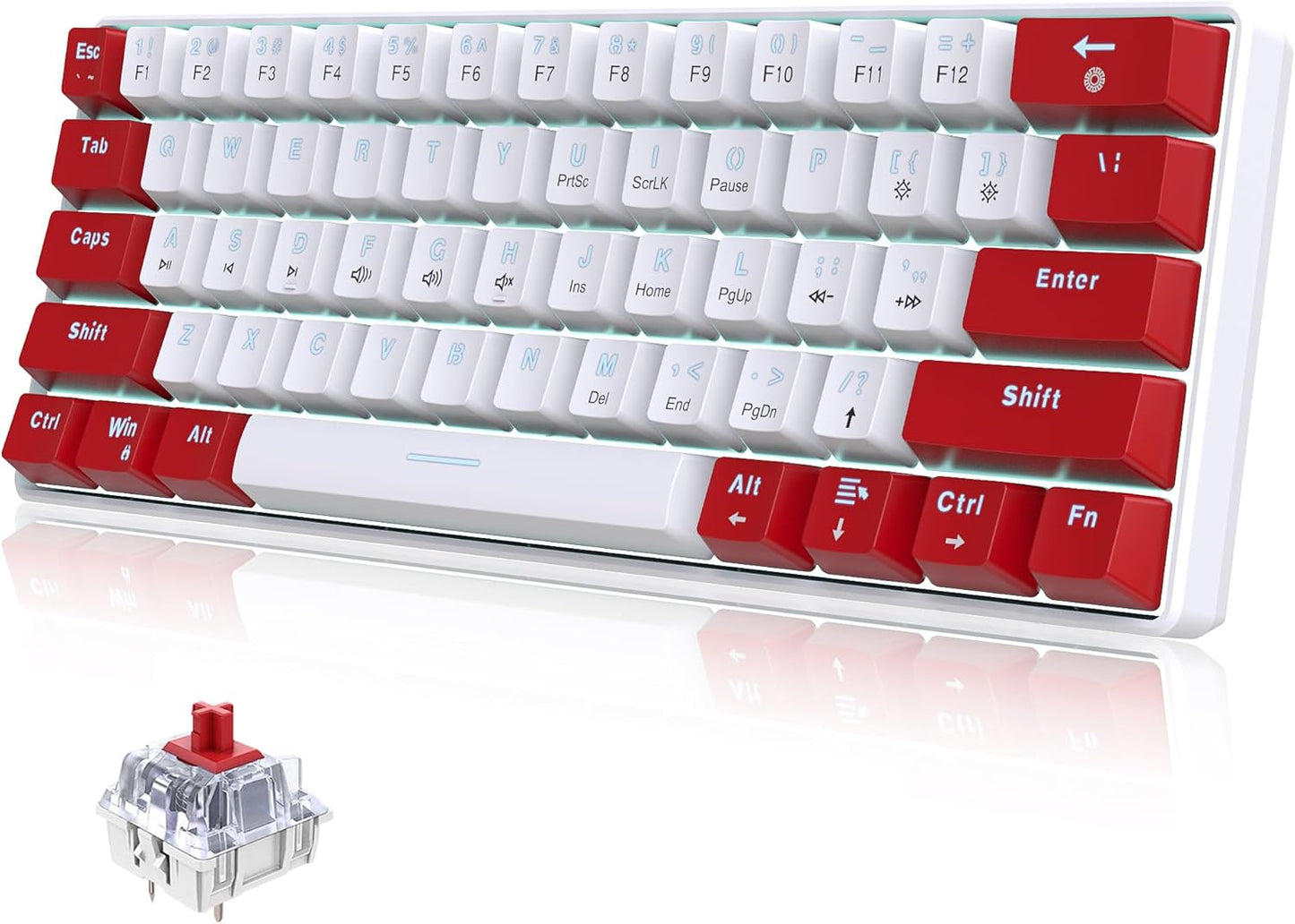 Snpurdiri 60% Wired Mechanical Keyboard, Mini Gaming Keyboard with 61 Keys for PC, Windows XP, Win 7, Win 10 (Black-Red, Red Switches)